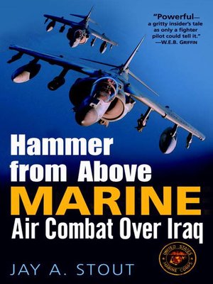 cover image of Hammer from Above